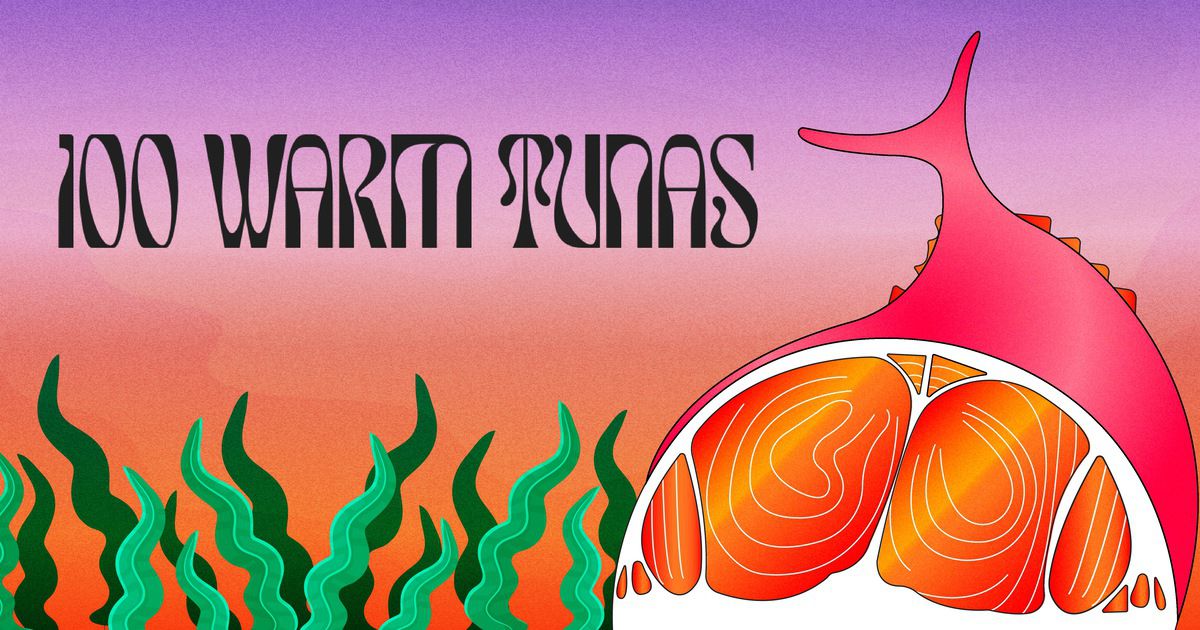 Hottest 100 of 2024 Top 200 Prediction 100 Warm Tunas